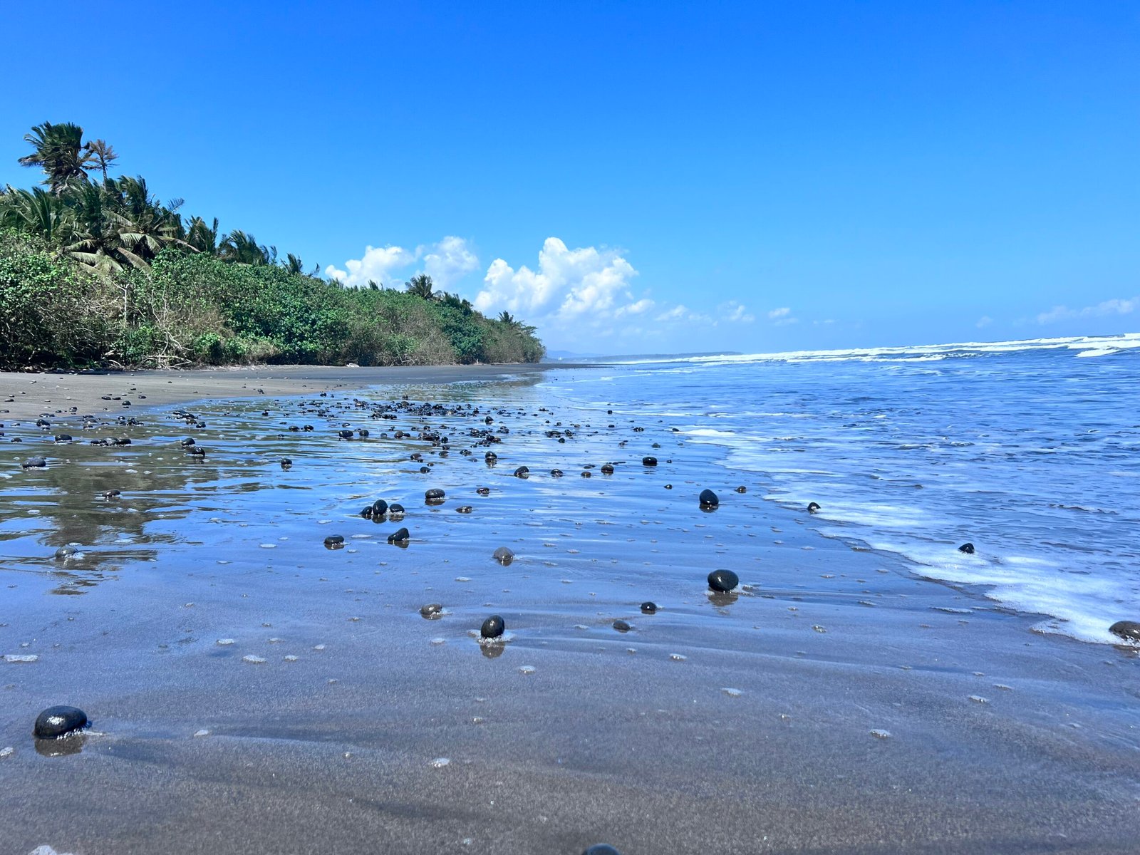 Black sand beach of on the way to Rambut Siwi Temple in Medewi, Bali
